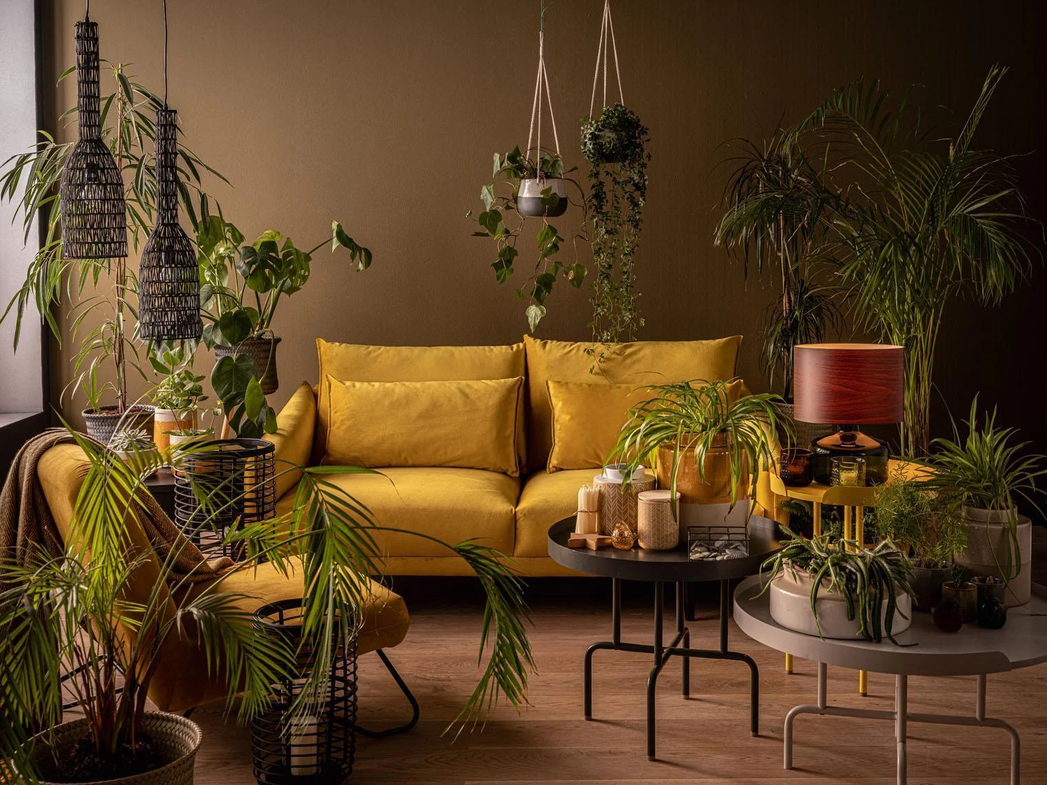 Przytulny salon z roślinami – Musztardowa sofa otoczona dużą ilością zieleni